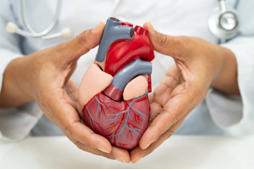 Cardiology